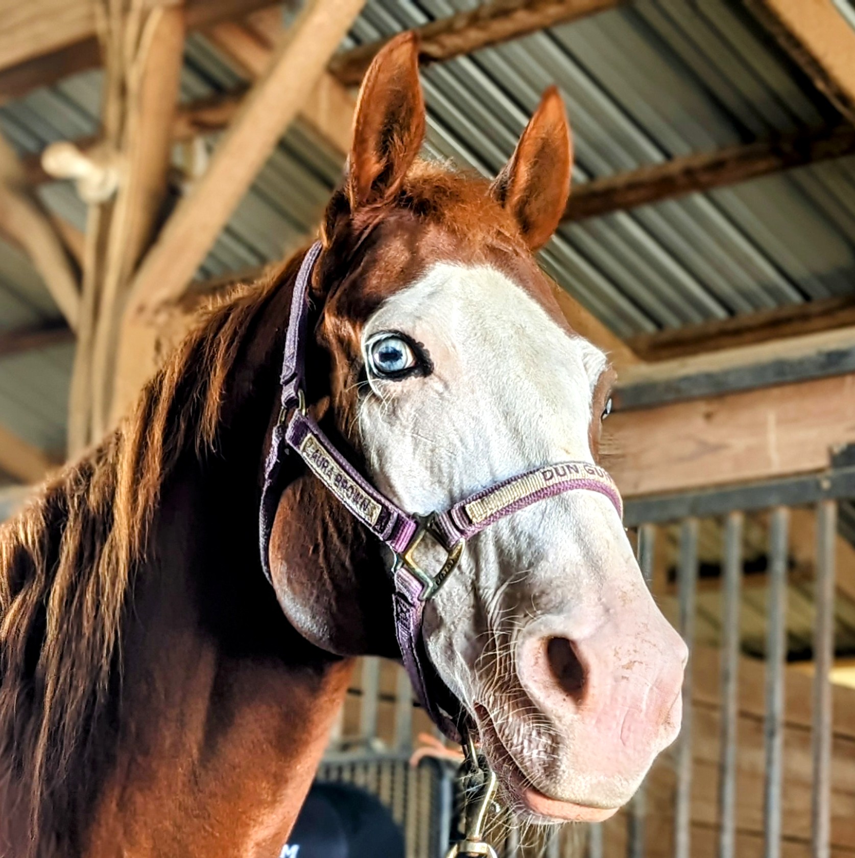 IMG_20240307_121754~2